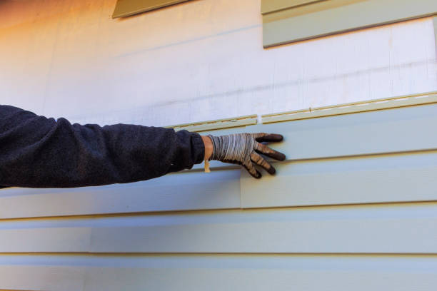 Best Fiber Cement Siding Installation  in Inver Grove Heights, MN